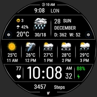 VF02 Weather Inform Watch Face