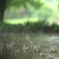 Real Rain Live Wallpaper