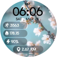 Spring Blossom Watch Face