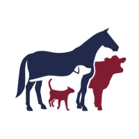 Central Vet