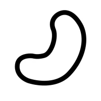 Cashew