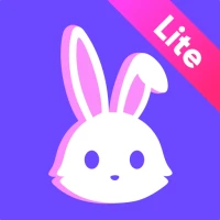 Lita Lite-Gaming Voice Social