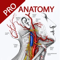 Gray's Atlas of Anatomy Pro
