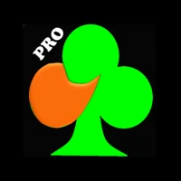 BJ Bridge Pro 2025