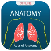Human Anatomy Handbook