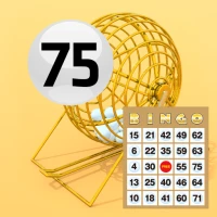 Bingo Game 75