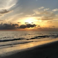 Animated Beach Live Wallpaper