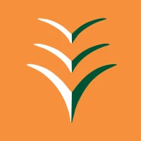 Ibom Air