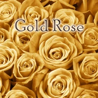 Gold Rose Theme