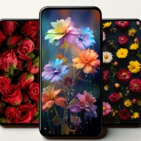 Flower Wallpapers Live HD