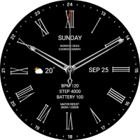 MIMIX MX Platinum S1 Watchface