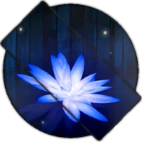 Lotus Live Wallpaper