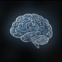Brain Fit - Activat neurons