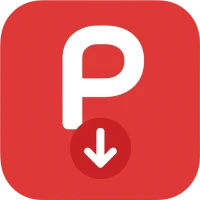 Pins Video Downloader & Saver