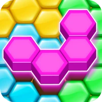 Hexa Puzzle Wood Block