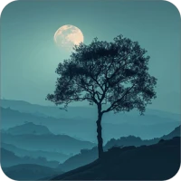 Beautiful Nature Wallpapers HD