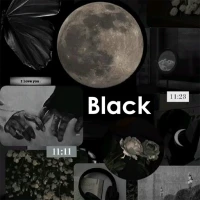 Black Wallpapers Live 4K
