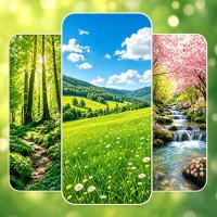 Spring Wallpaper 2024 Live 4k