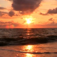 Sea Beach Live Wallpaper