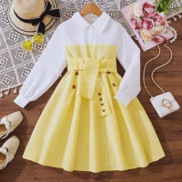 Korean Style: Korean Dresses