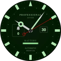 Diver Professional Watch Face