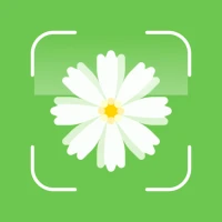 Plant ID: Plant Identifier