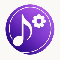 DChord: MM Guitar Chords