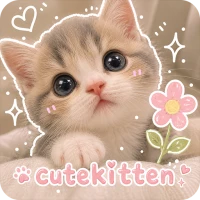 Cute Kitten Wallpaper
