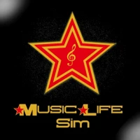 Music life sim