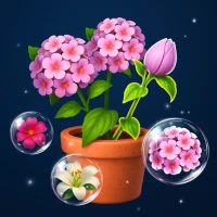 Bloom Sorting