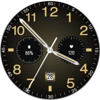 Classic Analog Watch - LUXC03