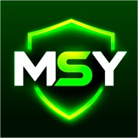 MSY VPN TUNNEL