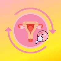 Ovulation & Period Tracker Pro