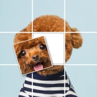 Jigsort Mania: Jigsaw Puzzle