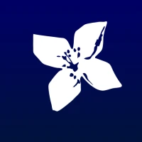 BPI - Empresas