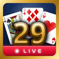 29 card game: LIVE Voice Chat