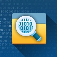 Bin File Viewer and Editor