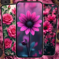 Pink Flower Wallpaper 4K