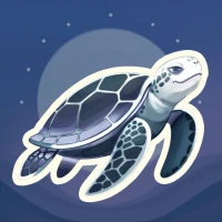 What the Shell