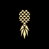 Pineapple Lifestyle