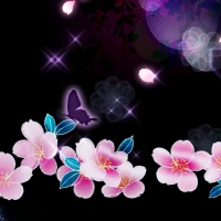 Sakura Night Theme +HOME