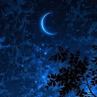 Night Sky & Stars Wallpaper