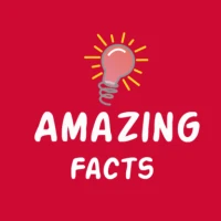 Amazing Facts: Did You Know?