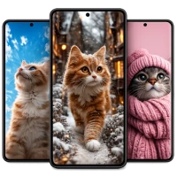 Kitten Wallpapers: Cute Cat 4K