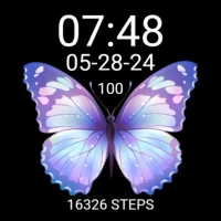 Cute Purple/Blue Butterfly