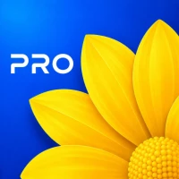 Gallery - Photo Video