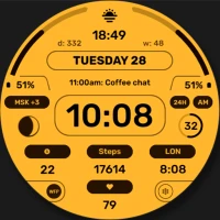 WFP 201 Informer watch face