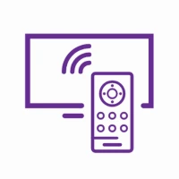 Roku Remote