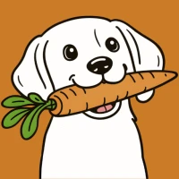 Dog Friendly: Go with Your Dog