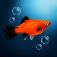 AquaFishCare
